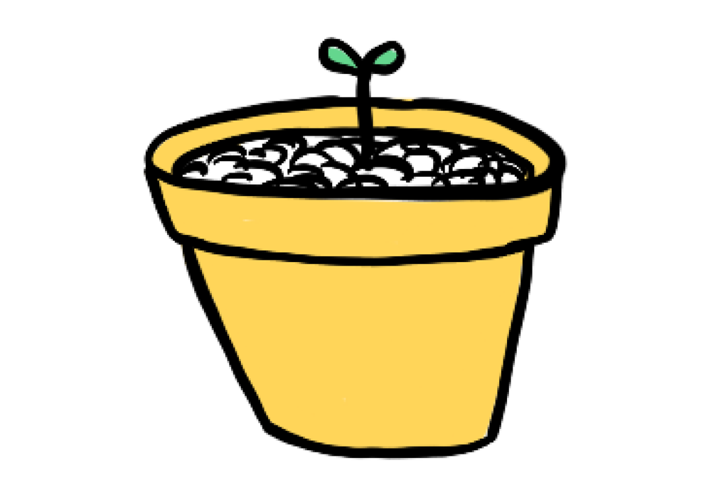 Teikning af afleggjara í blómapotti.
